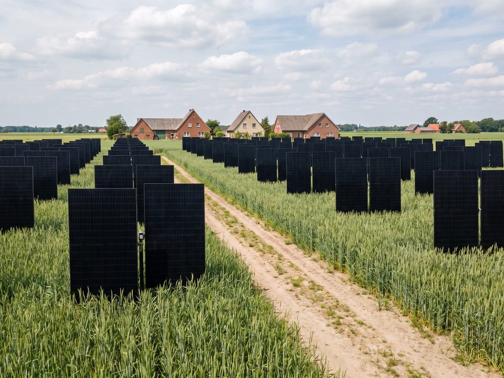 Ackerfläche mit senkrecht aufgestellten Modulreihen und Getreide dazwischen (KI-generiertes Bild)